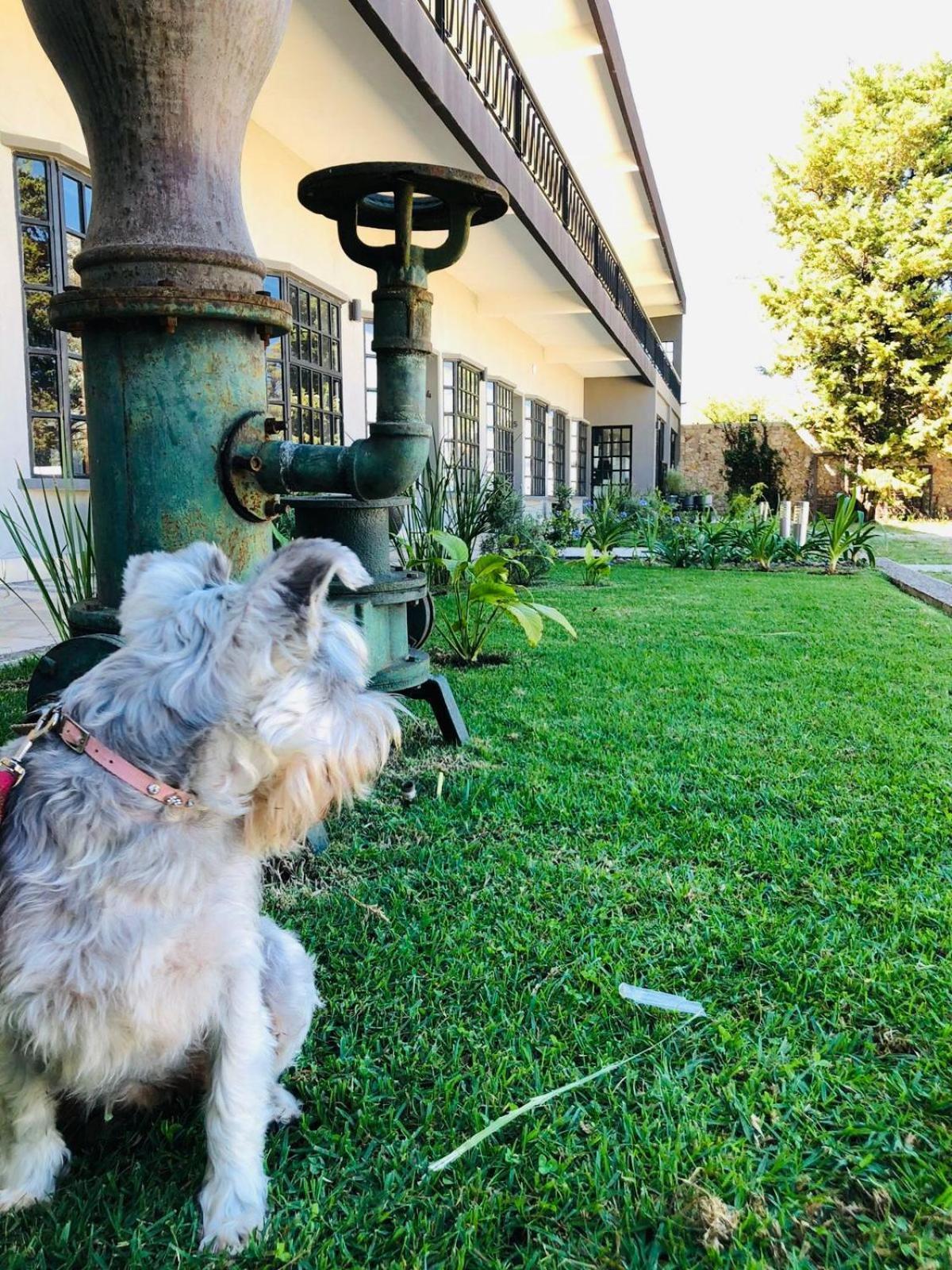 Hotel Rocaval San Cristóbal De Casas 4*